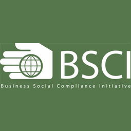 深圳九域企業管理 一站式EICC驗廠咨詢輔導，助力企業合規與卓越